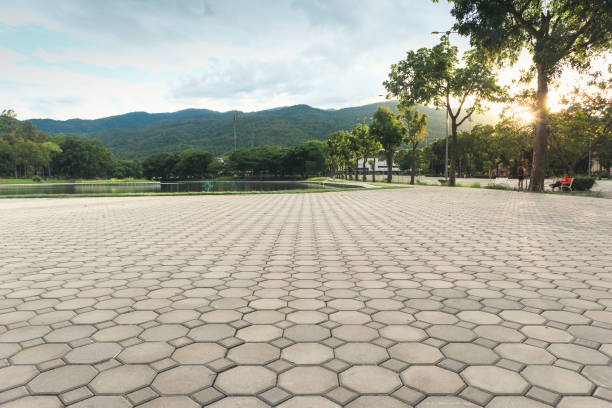 Best Driveway Paving Near Me  in Lewisburg, TN
