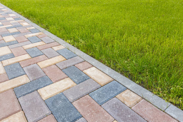 Best Driveway Paving Contractor  in Lewisburg, TN